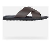 GEOX Scarpe Erice Uomo Testa Di Moro Testa Di Moro 45