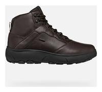 GEOX Scarpe Nebula + Grip Abx Uomo Testa Di Moro Testa Di Moro 39