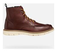 GEOX Scarpe Pove Uomo Bordeaux Bordeaux 46