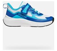 Geox Scarpe Sportive da Bambino PRO-Ran J65P7F,Bianco e Azzurro,con Strappo,Ergonomica e Ammortizzata (Bianco Azzurro, Sistema Taglie Calzature EU, Adolescente, Numero, Media, 31)
