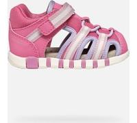 GEOX Scarpe Sandal Iupidoo Baby Rosa Scuro/lilla Rosa Scuro/lilla 19