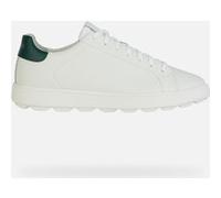 Geox Sneaker Spherica Ecub-1