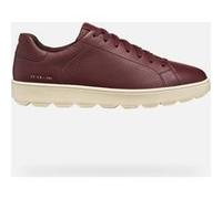 GEOX Scarpe Spherica Ecub-1 Uomo Bordeaux Bordeaux 45