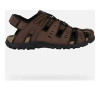 GEOX Scarpe Strada Uomo Marrone Scuro Marrone Scuro 39