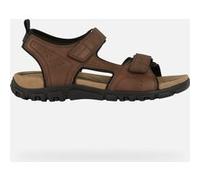 GEOX Scarpe Strada Uomo Marrone Scuro Marrone Scuro 47