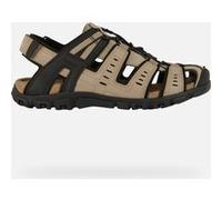 GEOX Scarpe Strada Uomo Taupe Chiaro Taupe Chiaro 42