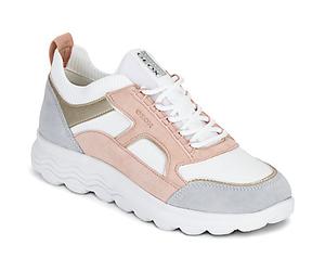 Geox Sneakers basse D SPHERICA C in Multicolore 40