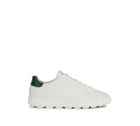 Geox Sneaker Spherica Ecub-1