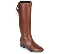 Geox Stivali bassi FELICITY in Marrone 41