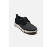 Geox - U ADACTER F Blu - Scarpe con lacci - Taglia 43 43 Blu