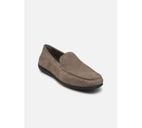 Geox - U ASCANIO Grigio - Mocassini 44 Grigio