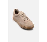Geox - U BALTMOORE C Beige - Sneakers 44 Beige