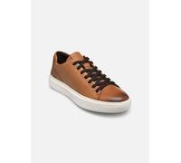 Geox - U DEIVEN A Marrone - Sneakers 45 Marrone