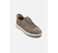Geox - U FLEXTRIDE PLUS A Grigio - Sneakers 39 Grigio