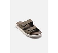 Geox - U FLEXTRIDE S Grigio - Zoccoli 42 Grigio