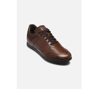Geox - U RENAN Marrone - Sneakers 39 Marrone