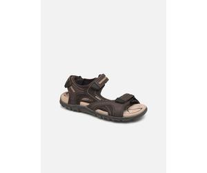 Geox - U S.STRADA D Marrone - Sandali e scarpe aperte 40 Marrone