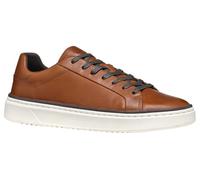 Geox U ZACKERTY A, Scarpe da Ginnastica Uomo, Brown, 42 EU