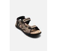 Geox - UOMO SANDAL STRADA D Verde - Sandali e scarpe aperte 40 Verde