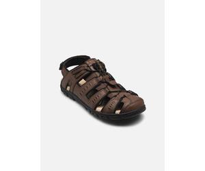 Geox - UOMO SANDALE STRADA BR Marrone - Sandali e scarpe aperte 41 Marrone