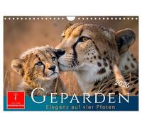 Geparden - Eleganz auf vier Pfoten (Wandkalender 2026 DIN A4 quer), CALVENDO Monatskalender: Für Widnisliebhaber - ein Hauch von Afrika.