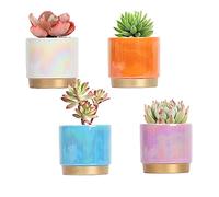 Gepege Set di 4 vasi per piante grasse con fori di drenaggio, vaso in ceramica per piante da interno