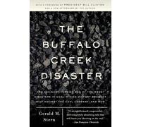 Gerald M. Stern The Buffalo Creek Disaster (Tascabile)