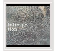 Gerald Selig & Andreas Mayerhofer Introspection (CD)