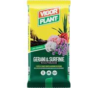 GERANI LT 20