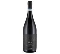Gerardo Cesari Bosan Amarone della Valpolicella Classico Riserva DOC 2015 0,75 ℓ
