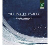 Gerardo Felisatti: The Way It Stands [Così Com’È]