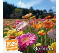 Gerbera Calendar 2026: Bright and Bold Colors to Energize Your Year