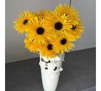 Gerbera decorazioni giardino esterni semi di giardino rampicante vaso autunnale, 900pcs