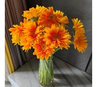 Gerbera semi di selvatico semi letto elevato giardino estate decorazioni giardino per esterni tagliati la prima primavera 45pcs