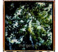 Gerbils - are You Sleepy