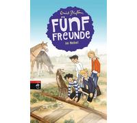Gerda Raidt Enid Blyton Marita M Fünf Freunde im Nebel (Einze (Copertina rigida)