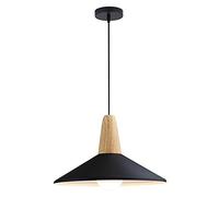 Gerenecic Suspension industrielle rétro Couleur Macaron - Lustre réglable E27 pour Cuisine et Salle à Manger (Une Couleur)