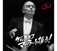 GERGIEV, VALERY - MAHLER SYMPHONY:1-10