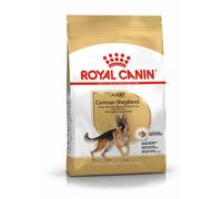 German Shepherd Adult - 11KG