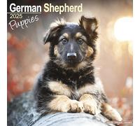 German Shepherd Puppies 2025 Square Wall Calendar | Dog Breed, Puppy Calendar