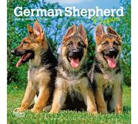 German Shepherd Puppies 2027 7 X 14 Inch (Hanging) Monthly Mini Wall Calendar