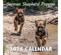 German Shepherd Puppies Calendar 2026: Heartwarming Beginnings of a Noble Breed | Kalender Calendario Calendrier