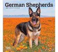 German Shepherds 2027 7 X 14 Inch (Hanging) Monthly Mini Wall Calendar