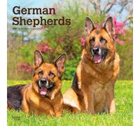 German Shepherds - Deutsche Schäferhunde 2027 - 16-Monatskalender: Original BrownTrout-Kalender [Mehrsprachig] [Kalender]