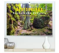 Germania, Svizzera sassone, Parco nazionale delle fiabe (calendario da parete di alta qualità 2026 DIN A2 quer), stampa artistica lucida, muschio, rocce, magia - foresta come in sogno (CALVENDO Natur)