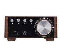 Germerse Amplificatore HiFi, Suono Potente Amplificatore Audio per Scheda di Memoria Piccola, Amplificatore Audio USB Durevole per Altoparlanti Domestici Restaurtant Treble Control Bedroom