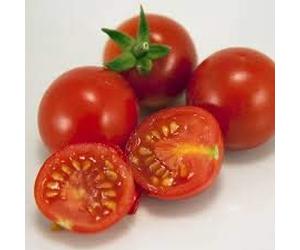 Germinazione dei semi: 250 semi di pomodoro ACE 55 ROSSO IN RITARDO Seeds ONLY