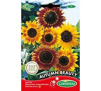 Germisem Autumn Beauty Semi di Girasole 3 g
