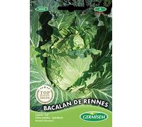 Germisem Bacalan de Rennes Semi di Cavolo 5 g