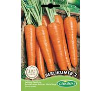 Germisem Berlikumer 2 Semi di Carota 10 g